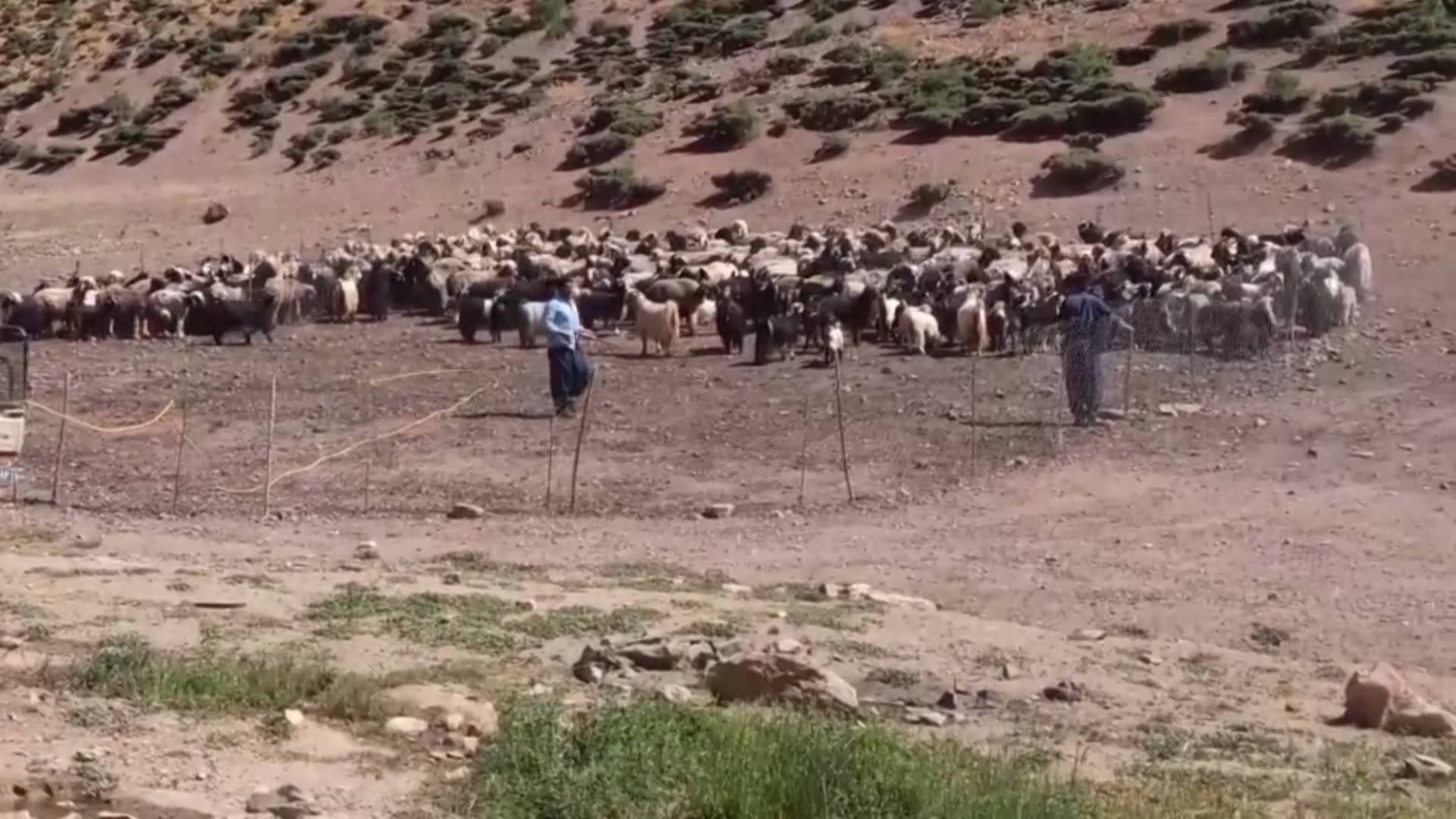 پیام سپاهان