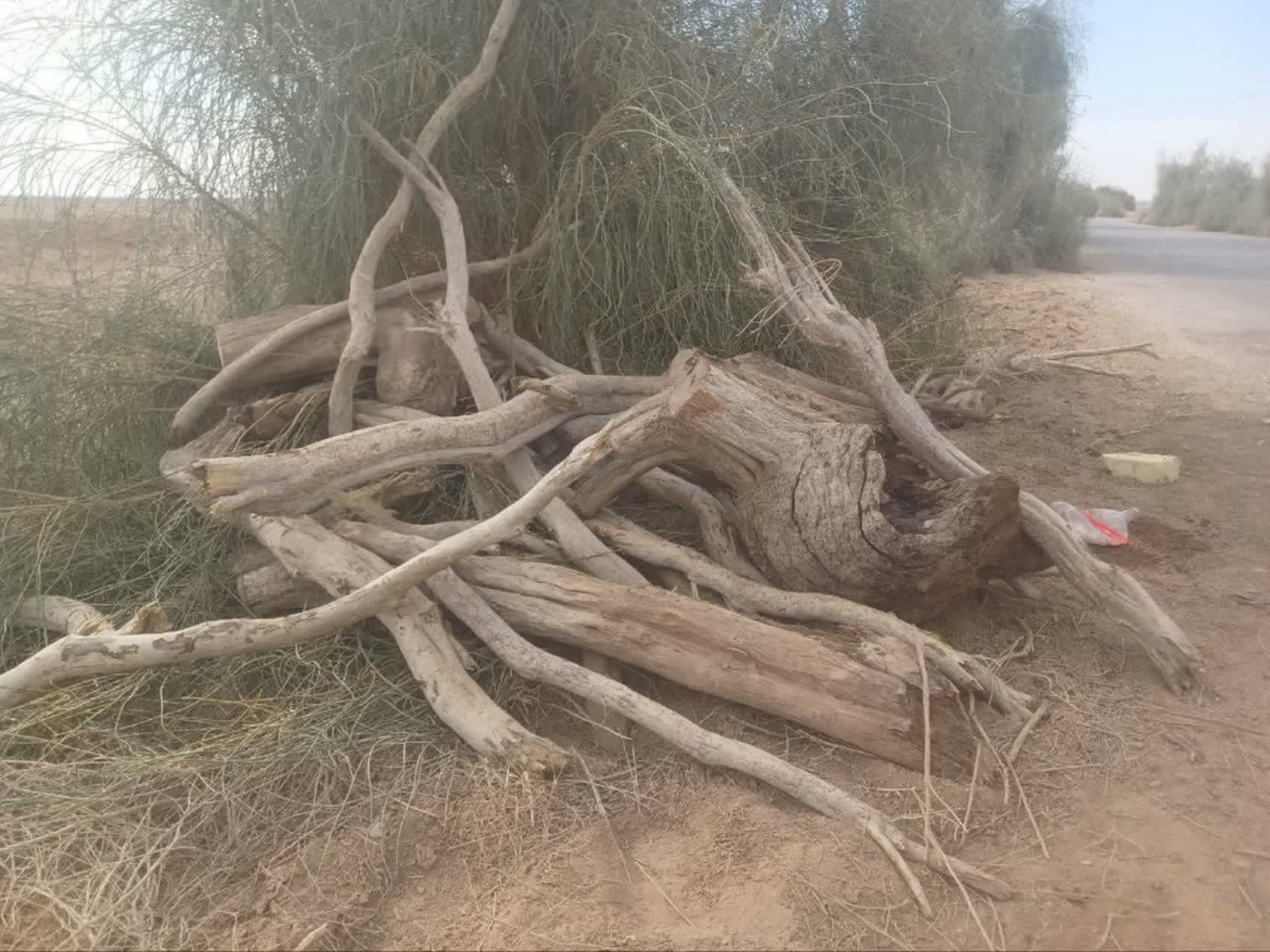 پیام سپاهان